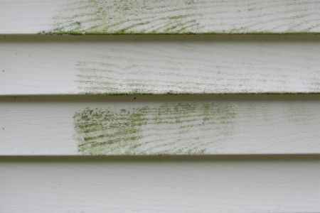 Signs Your Home Needs Power Washing