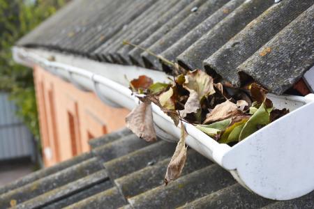 Gutter Cleaning